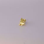 Picture of Christmas stud earring | golden