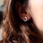 Picture of Aurora earrings | silver